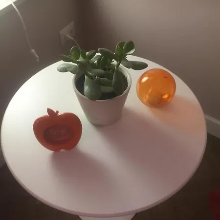 Apartmán Casa Garibaldi 41 *