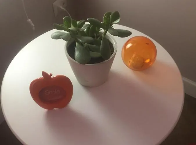 Apartamento Casa Garibaldi 41 *